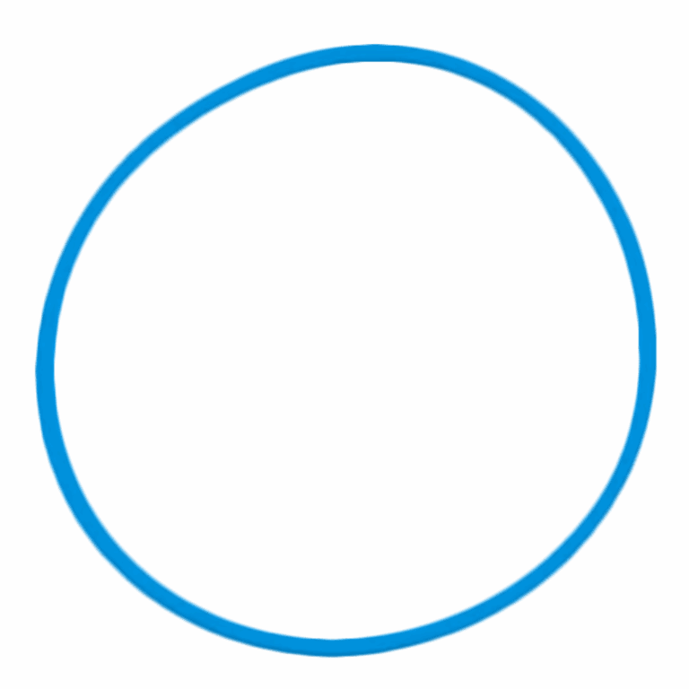 VONbLÜTE® O-Ring – Ersatzdichtung für dein Etui – Blau