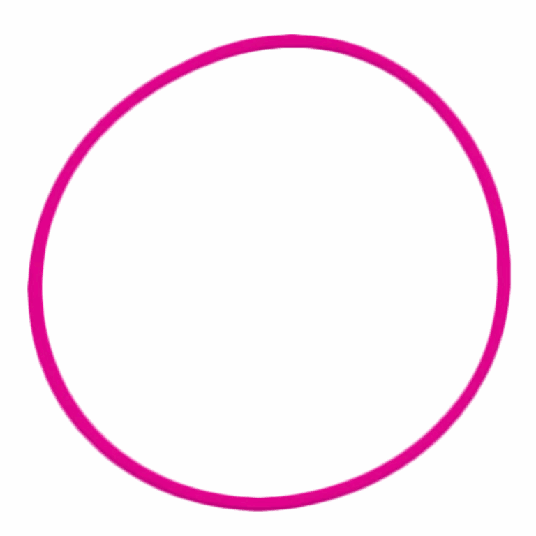 VONbLÜTE® O-Ring – Ersatzdichtung für dein Etui – Knockout Pink