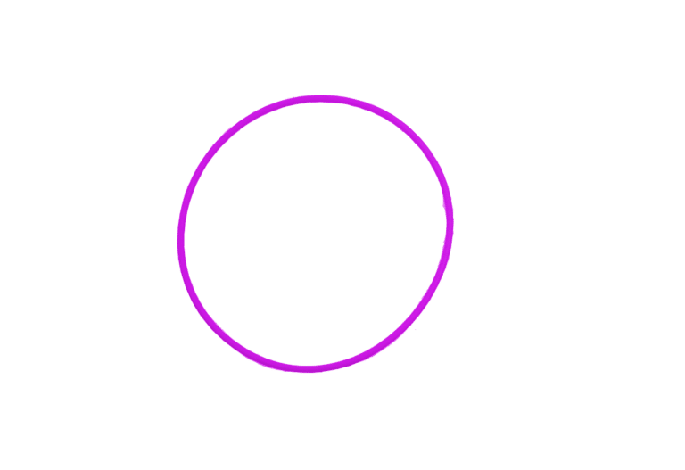 VONbLÜTE® O-Ring – Ersatzdichtung für dein Etui – Pink Purple